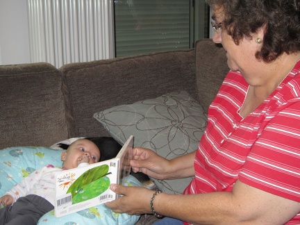 Grandma reading a book